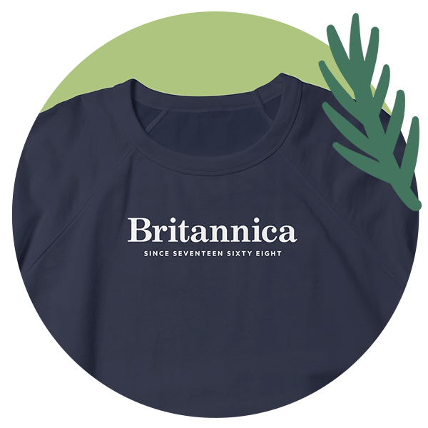 Britannica legacy sweatshirt in white